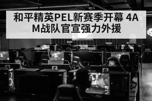 和平精英PEL新赛季开幕 4AM战队官宣强力外援