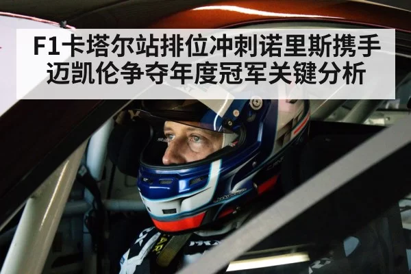 F1卡塔尔站排位冲刺诺里斯携手迈凯伦争夺年度冠军关键分析